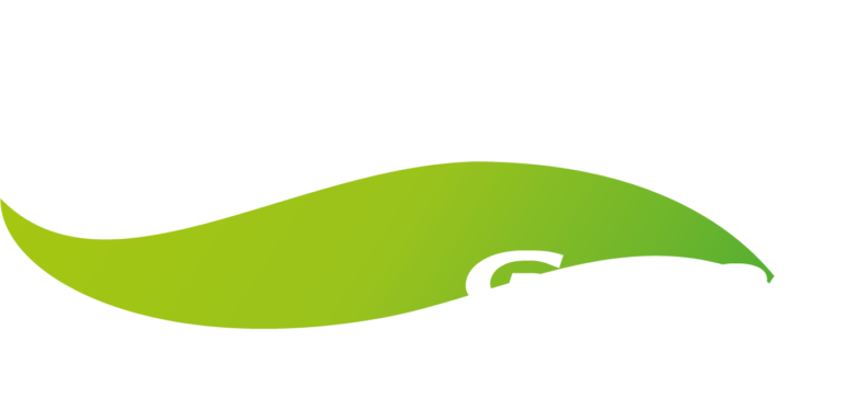 Grupo SG